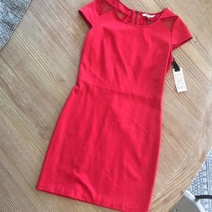 BB Dakota mini dress